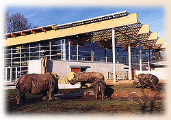 Nashornhaus (c) Thüringer Zoopark