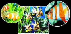 Impressionen (c) Meereszentrum
