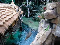Krokodil-See-Tropen-Aquarium ©Hagenbeck