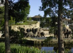 Elefantenpark 
(c) Zoo Köln