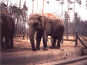 Tierpark Cottbus in Cottbus