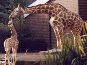 Zoo Dortmund in Dortmund