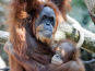 Tierpark Hagenbeck in Hamburg-Stellingen