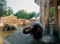 Erlebniszoo Hannover in Hannover