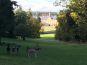 WildPark Schloß Tambach in Weitramsdorf bei Coburg