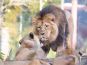 Zoologischer Garten Schwerin in Schwerin